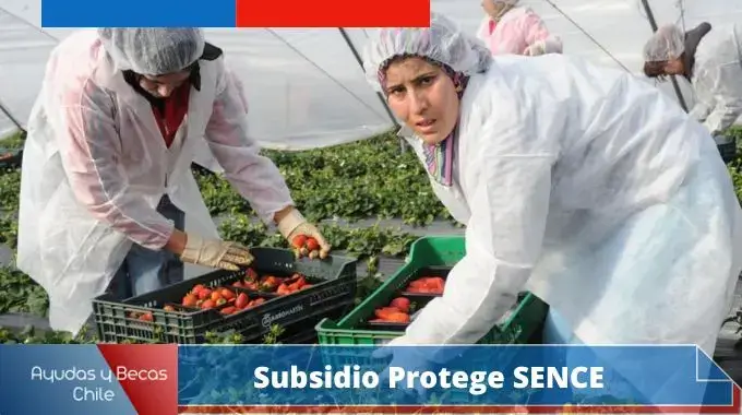 Subsidio Protege SENCE