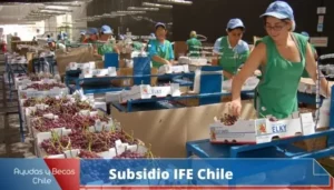 Subsidio IFE Chile